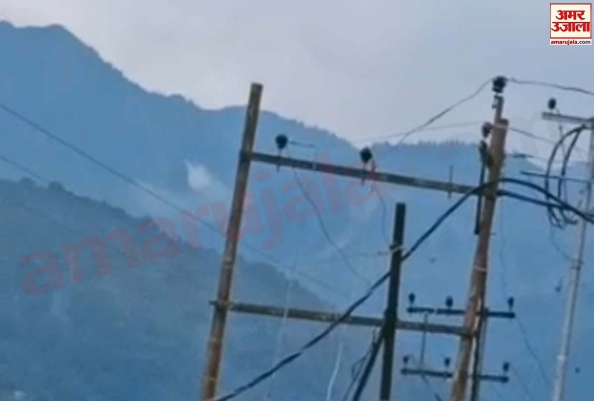 Pakistan wants to infiltrate terrorists amid tension over LAC with China