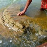 नदी में मिला 500 साल पुराना मंदिर