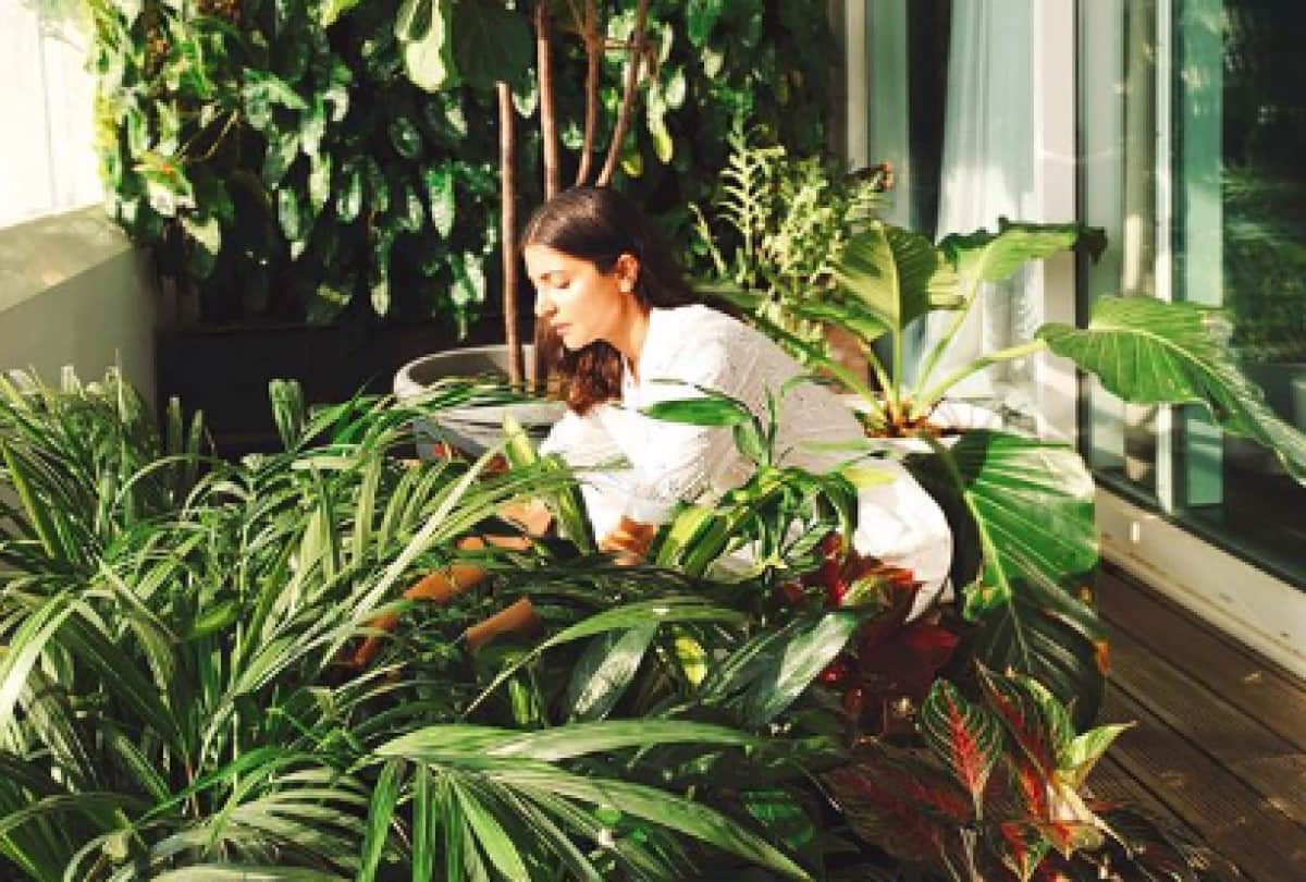 virat kohli and anushka sharma house photos See inside pics