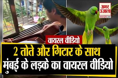 viral video: Jatin Talukar was playing his guitar by sitting near his window when two parrots visited him