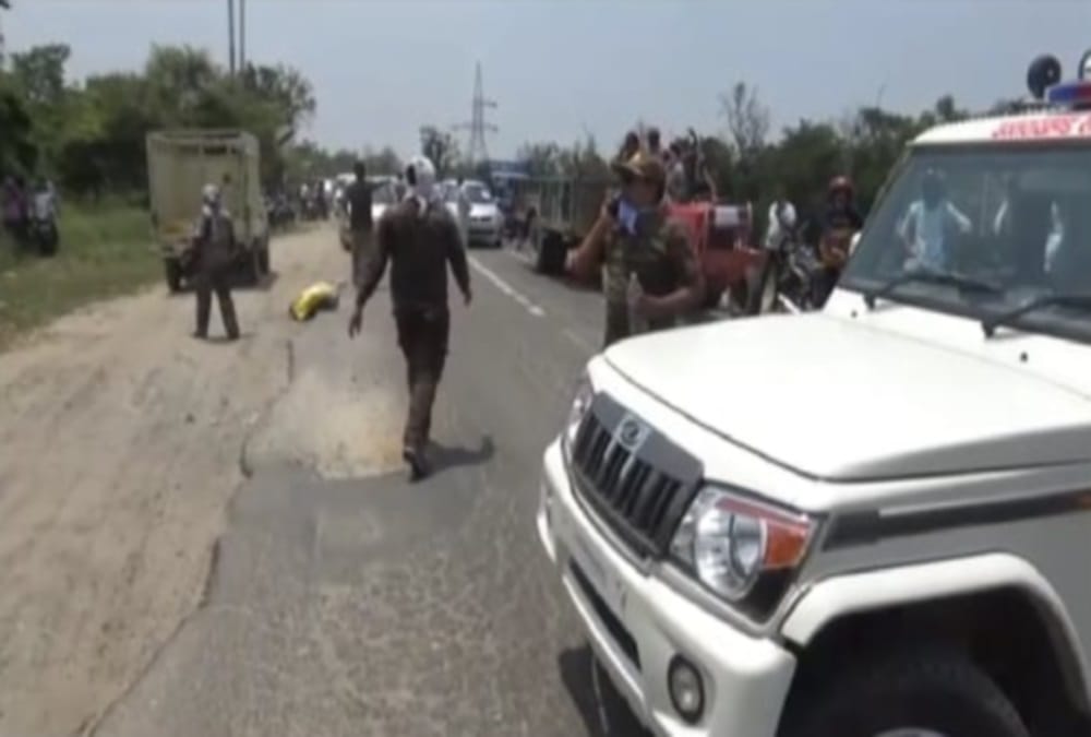 Group of 18 Elephants Arrives Near Highway in haridwar, Public panic photos