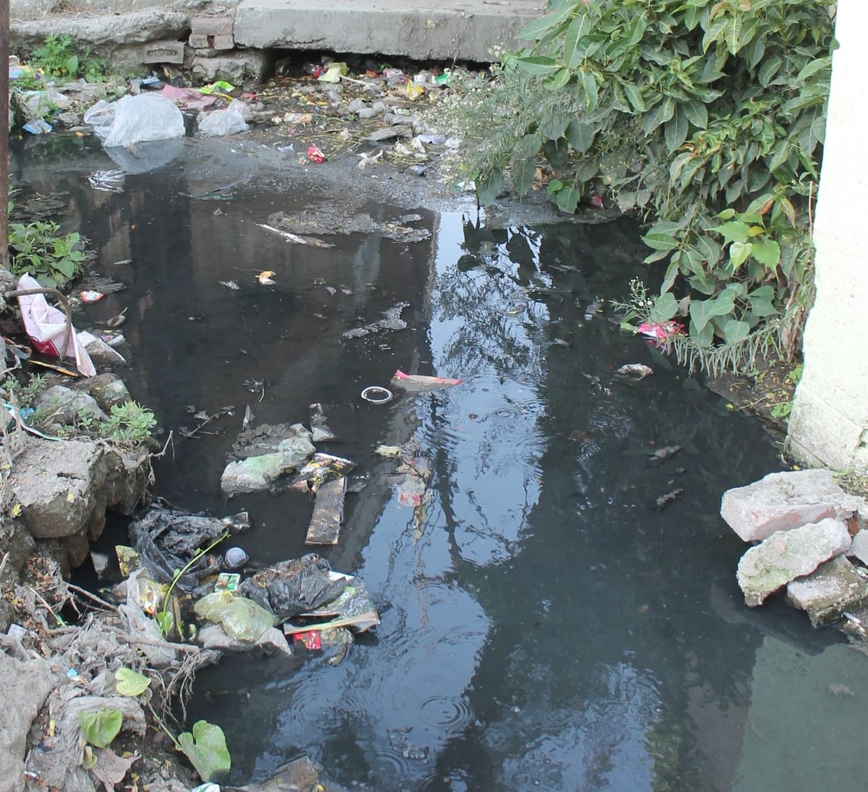 This condition in summer, roads will be submerged in rain