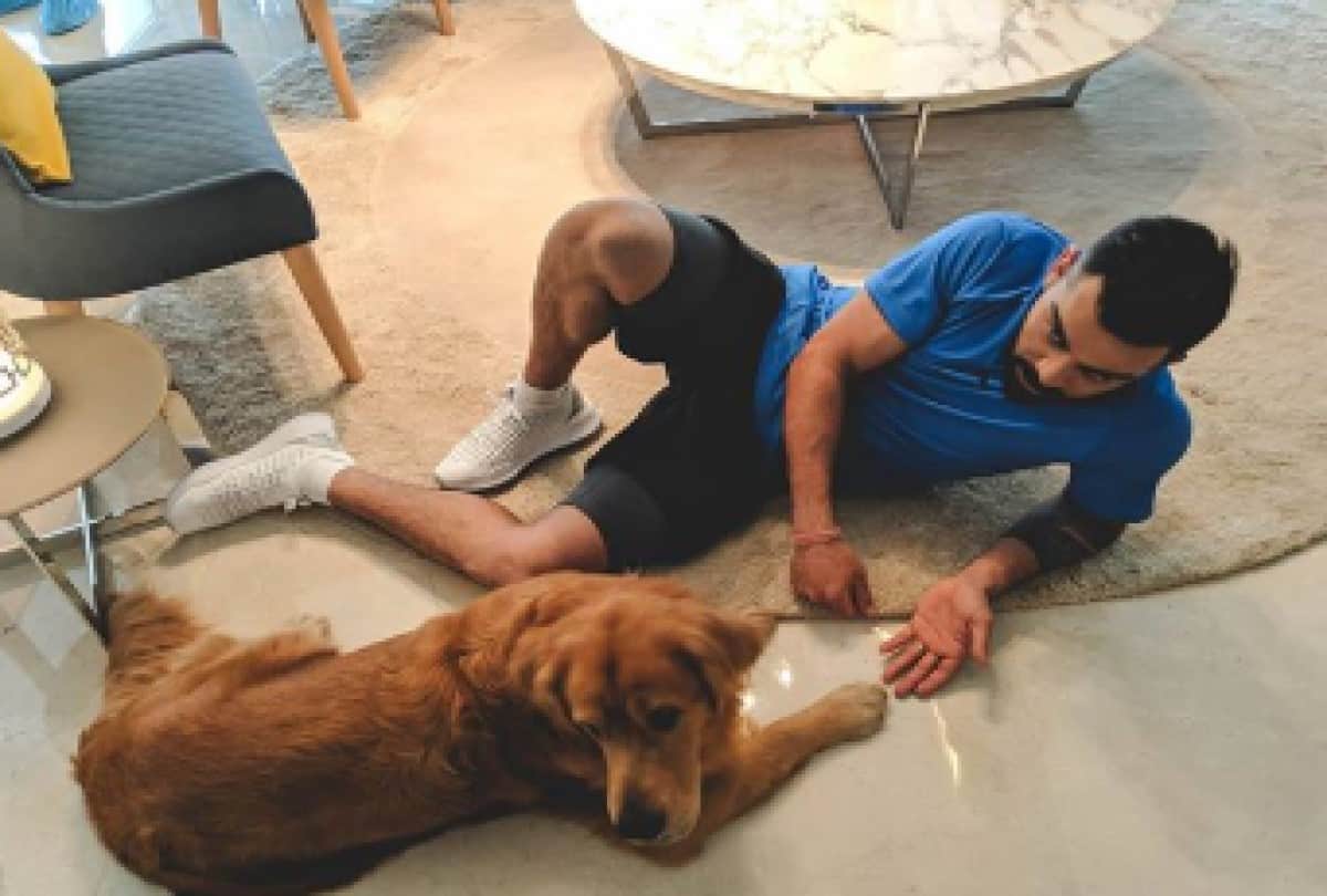 virat kohli and anushka sharma house photos See inside pics