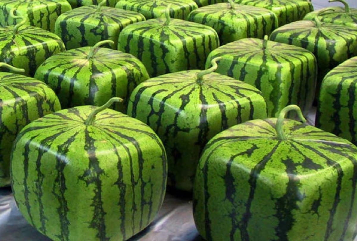 5 most expensive fruits in the world