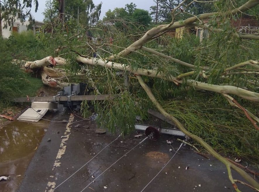 Electricity supply of many villages stalled due to falling trees in the storm