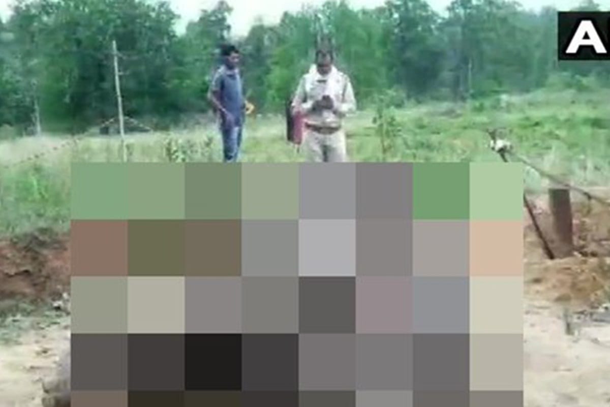 elephant died in Raigarh district after getting electrocuted two people arrested FIR lodged