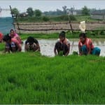 प्रतीकात्मक तस्वीर।