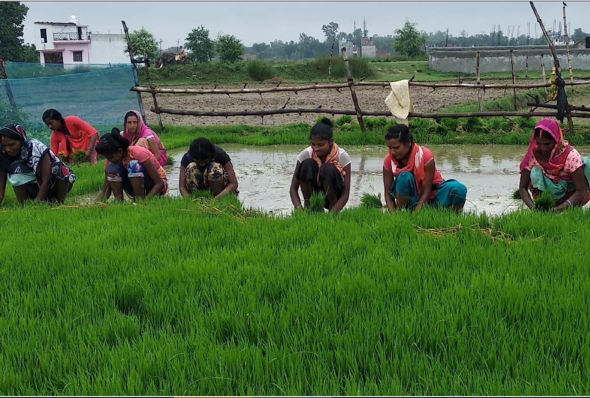 Gorakhpur weather update: start heavy rain in gorakhpur latest photos