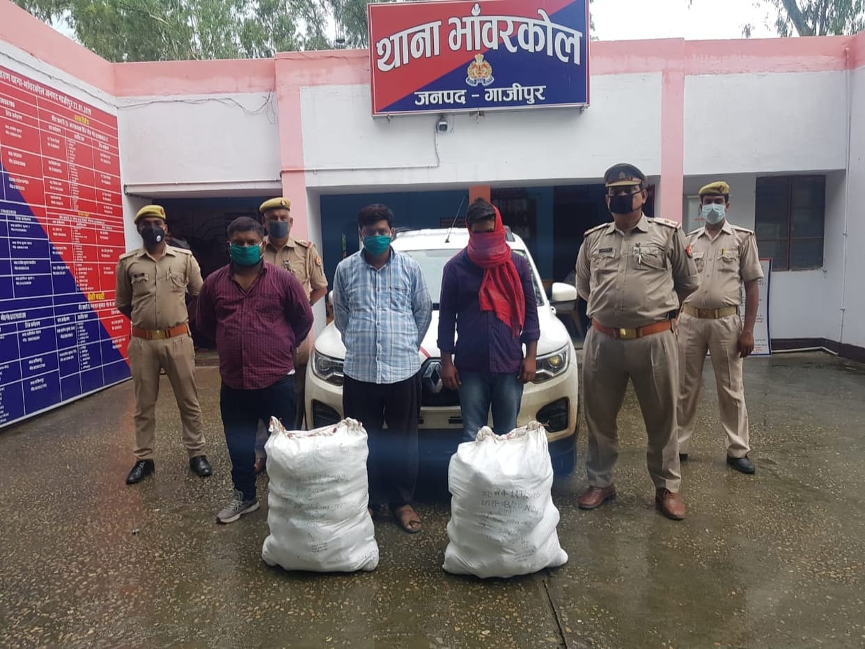 STF caught three smugglers with 50 kg ganja