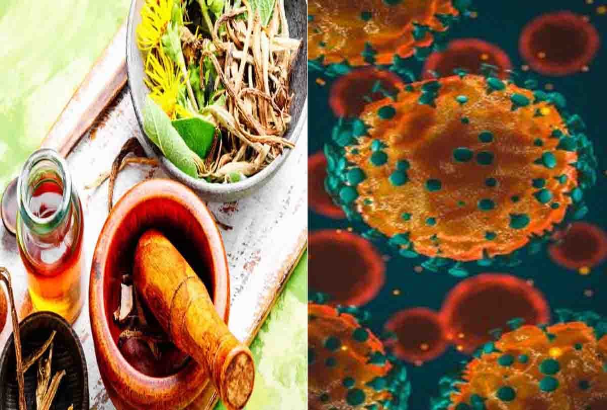 Coronavirus Medicine India Latest News: Covid 19  medicine