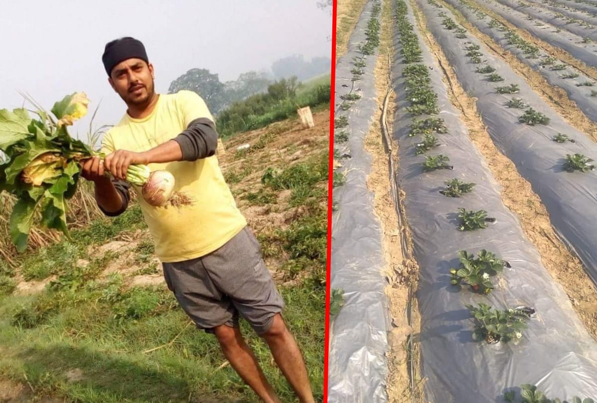 Special story of Young Farmer govind chaudhary in sant kabir nagar
