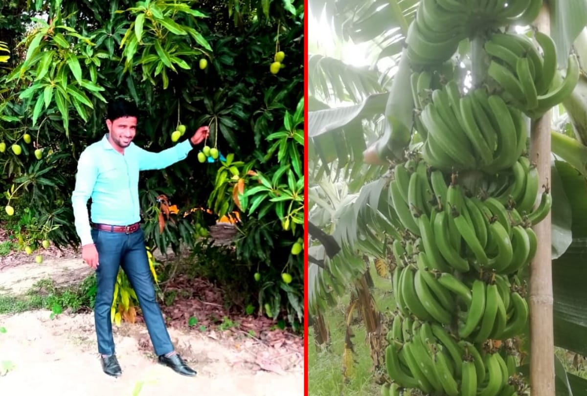 Special story of Young Farmer govind chaudhary in sant kabir nagar