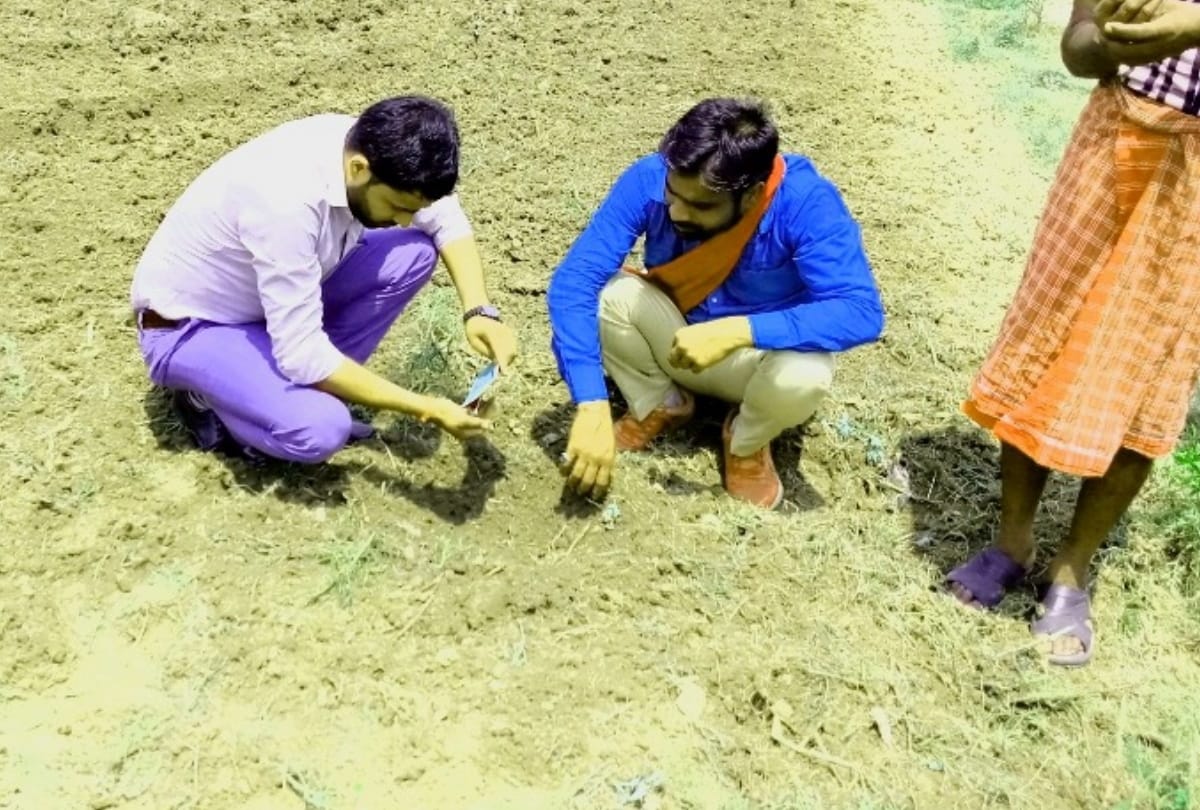 Special story of Young Farmer govind chaudhary in sant kabir nagar