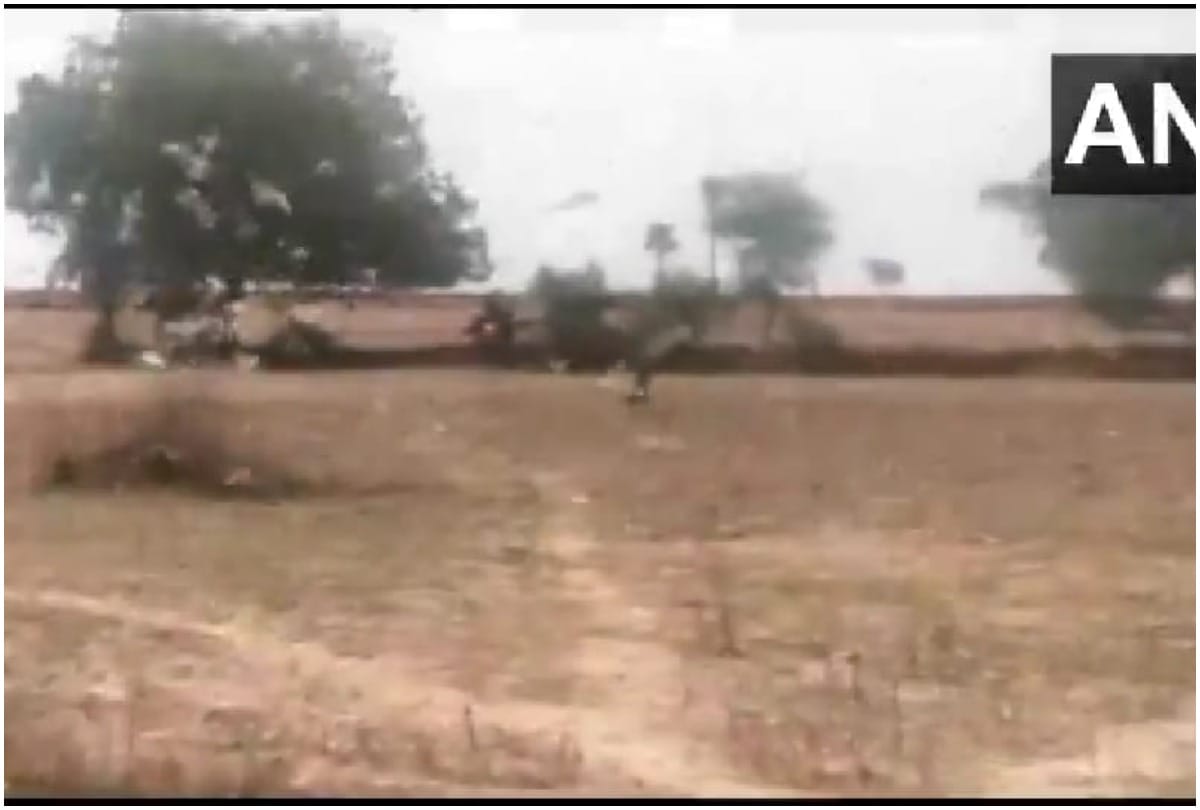 Madhya Pradesh Swarms of locusts attack several villages in Sheopur district