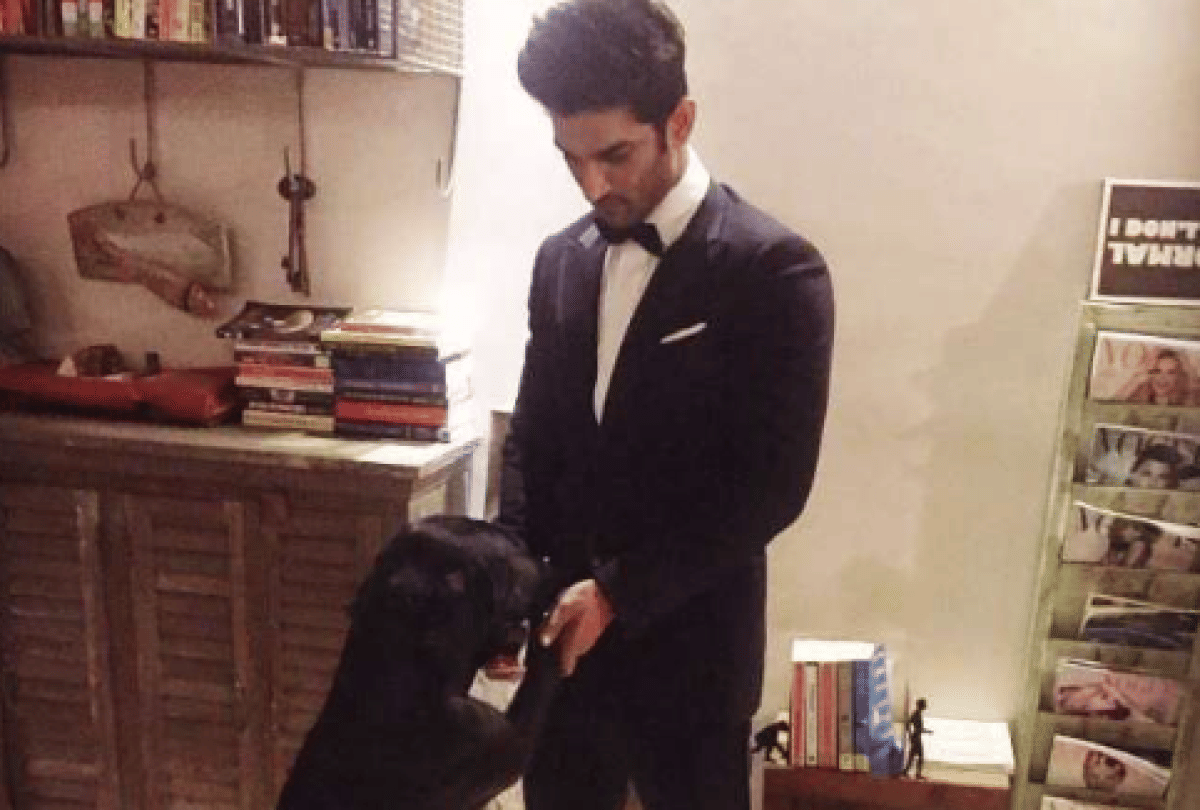 sushant singh rajput death his pet dog fudge heartbroken here viral video
