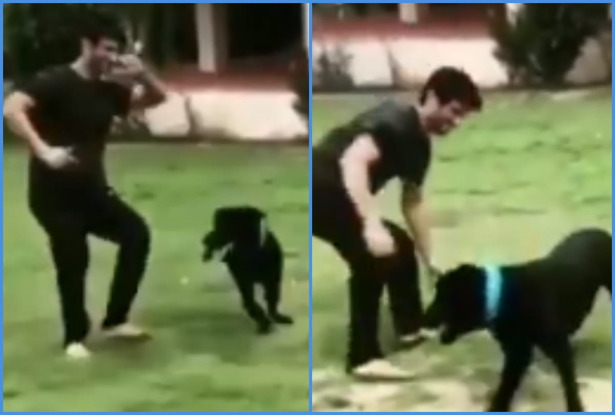 sushant singh rajput death his pet dog fudge heartbroken here viral video