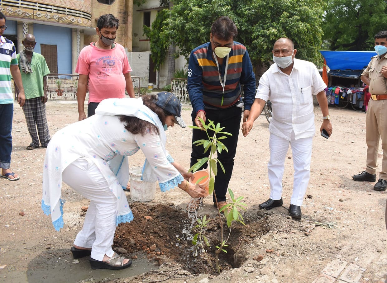 sadae vidhayak plant in unnao
