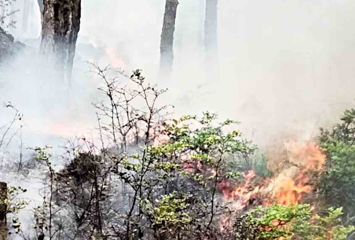 Jammu and Kashmir: Fire on LoC explodes landmines alert