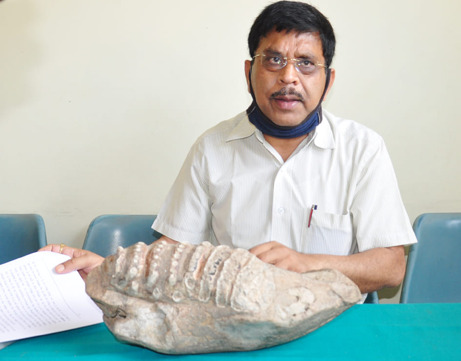 Scientists hope, can find more fossils