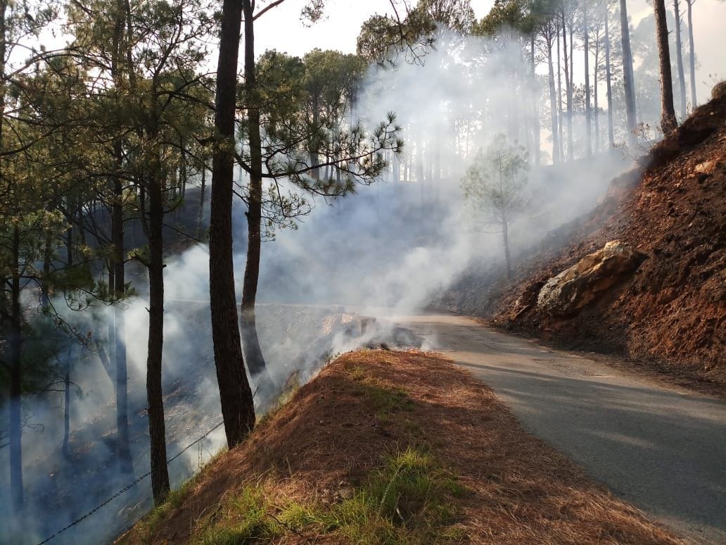 fire in forests of Uttarakhand