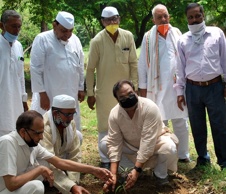 Rahul Gandhi's birthday celebrated by planting saplings