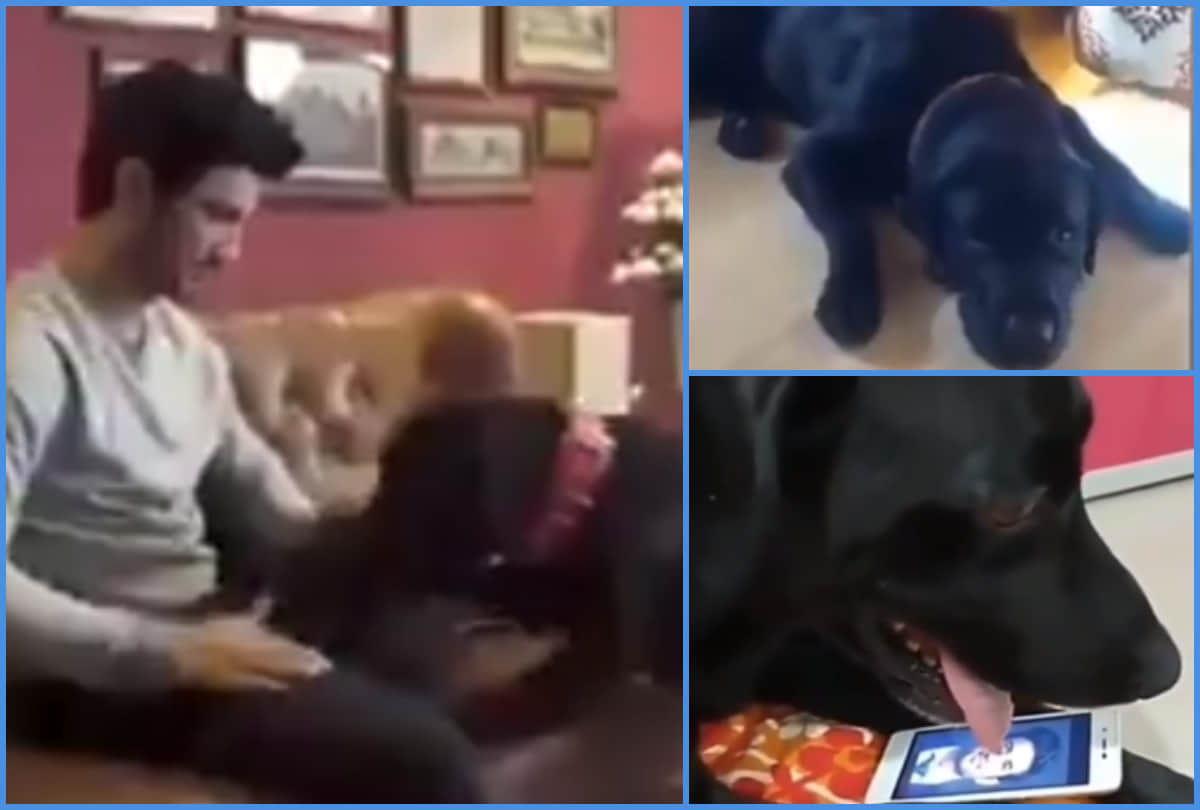 Adnan Sami Introduced New Family Member EL CHAPO His Pet Dog