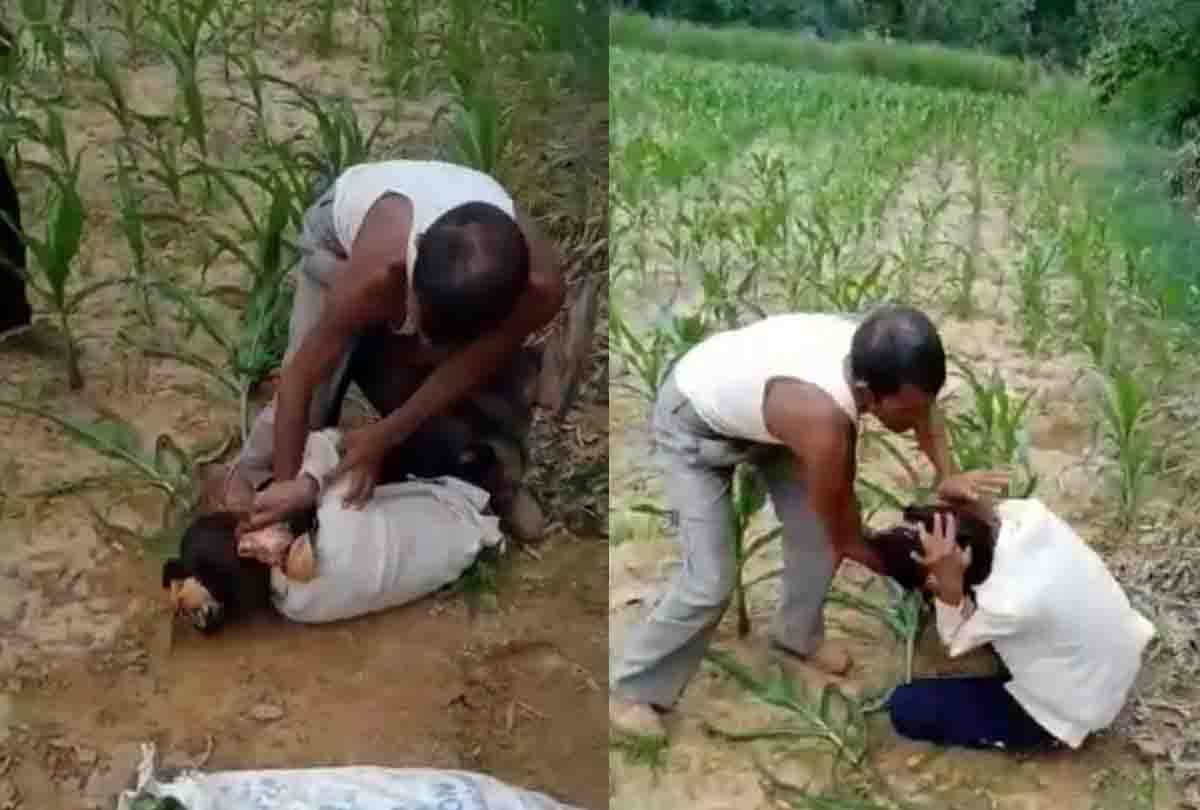 Mother and daughter brutally beaten when mango broke