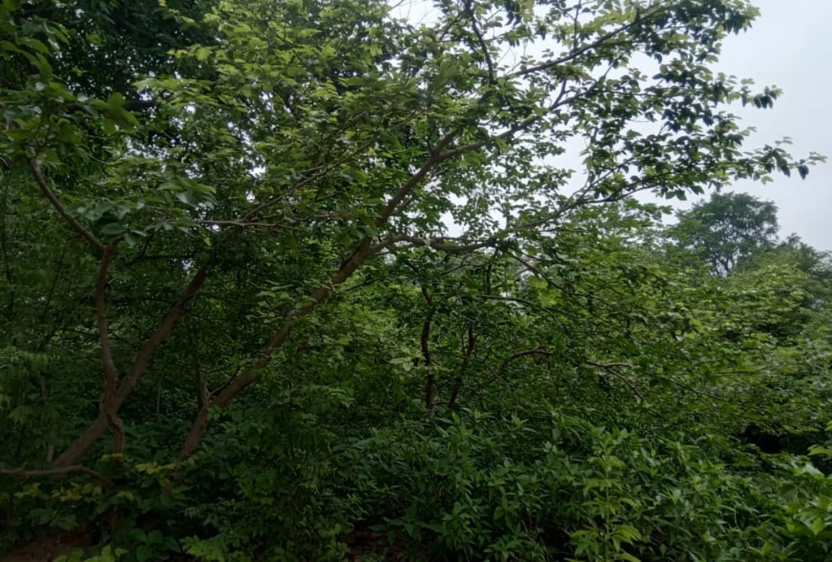 Special story of Bhagwan Parshuram when he rested in sohnag Deoria