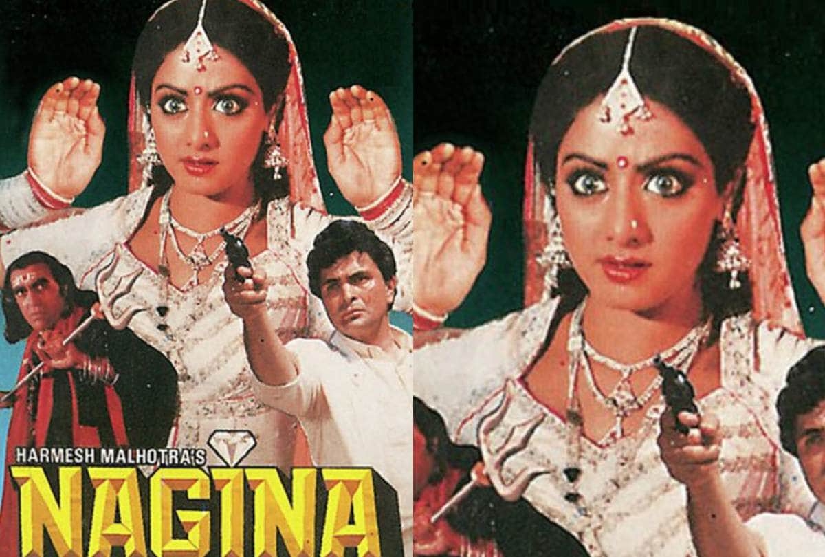These Bollywood Actress Played Character Of Nagin In Movie Reena Roy Sridevi Rekha Mallika Sherawat Manisha Koirala