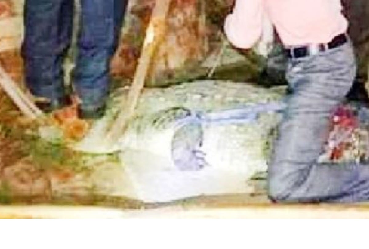 big crocodiles enter village near chambal river in agra