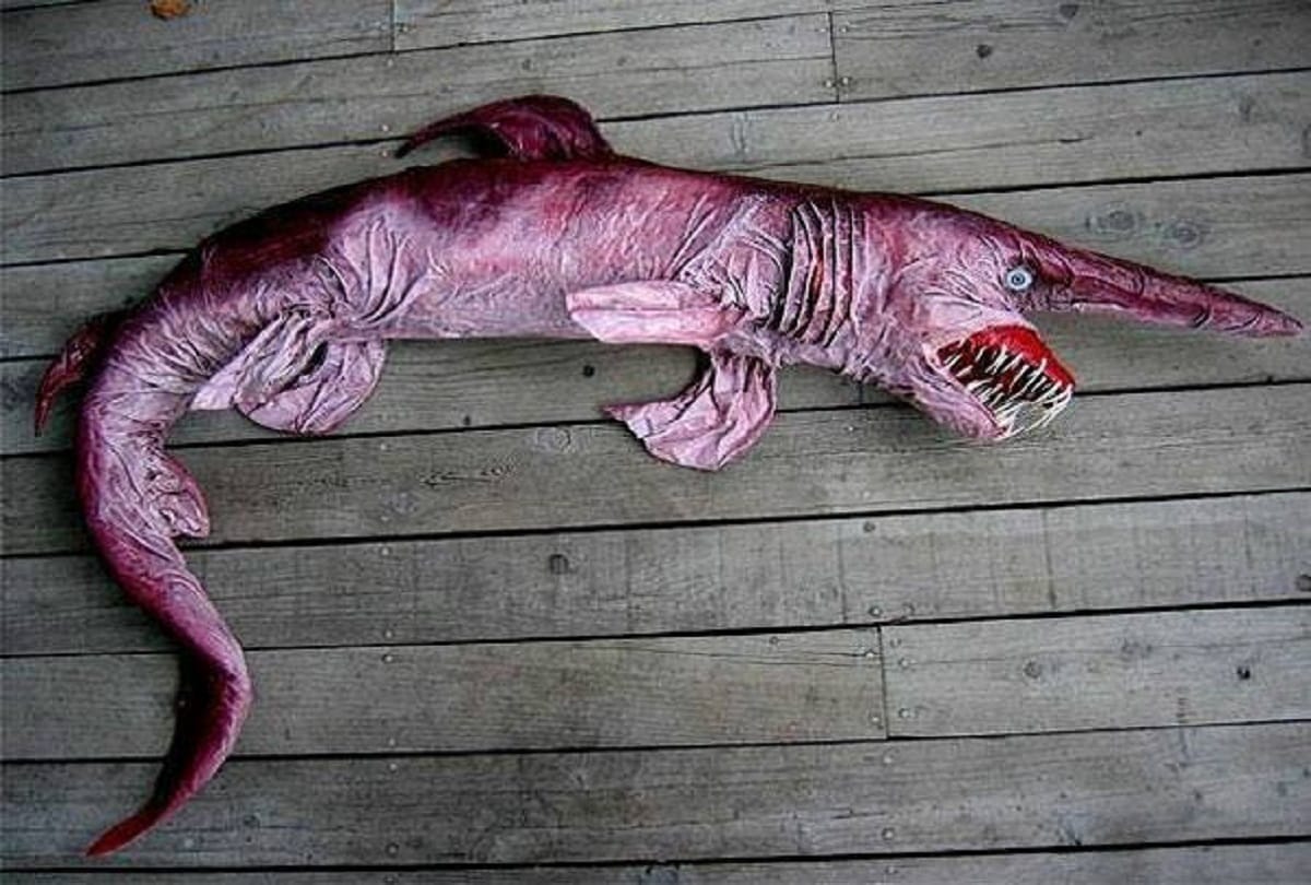 Some strange creatures of the world that you have hardly seen