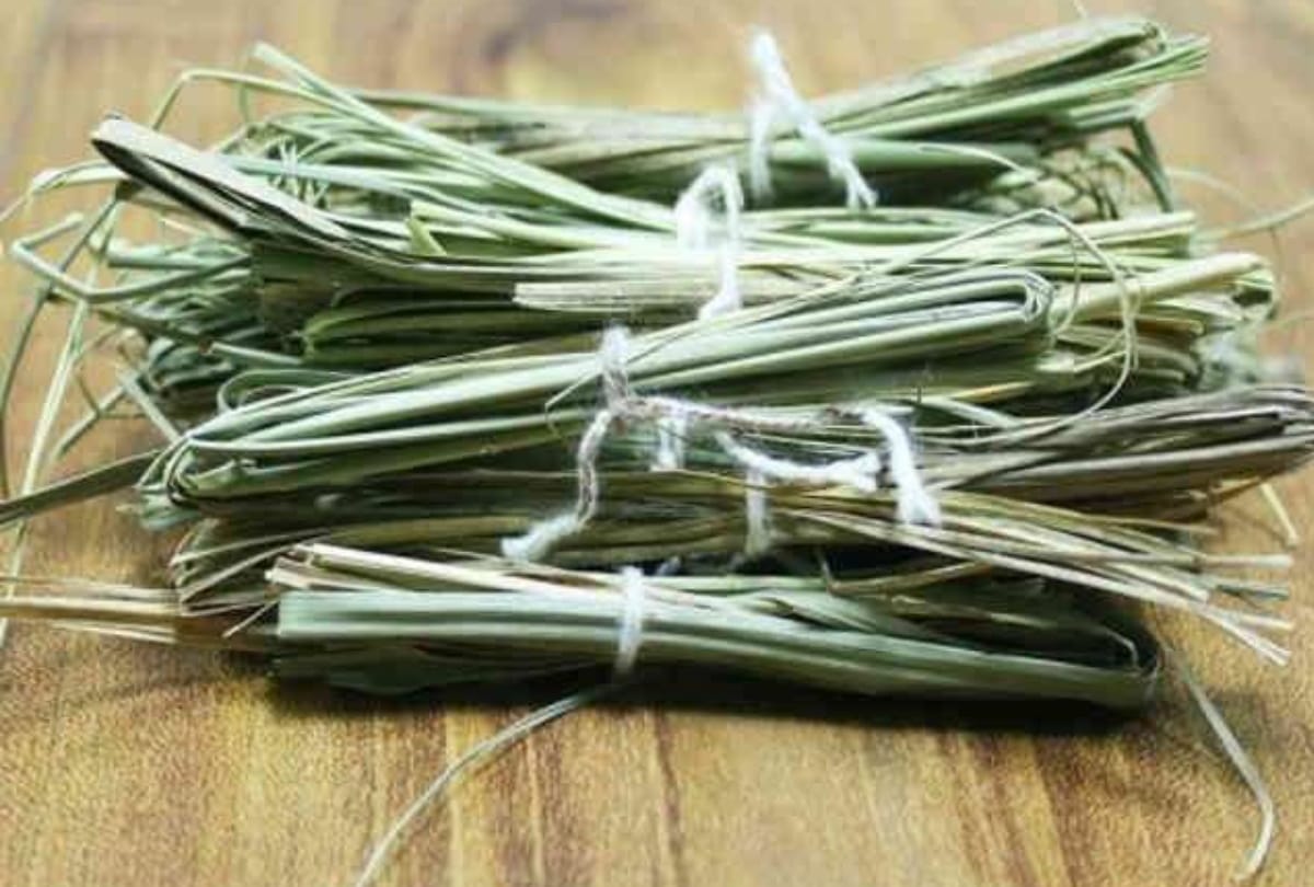 kusha grass is Freedom from side effects during Surya grahan