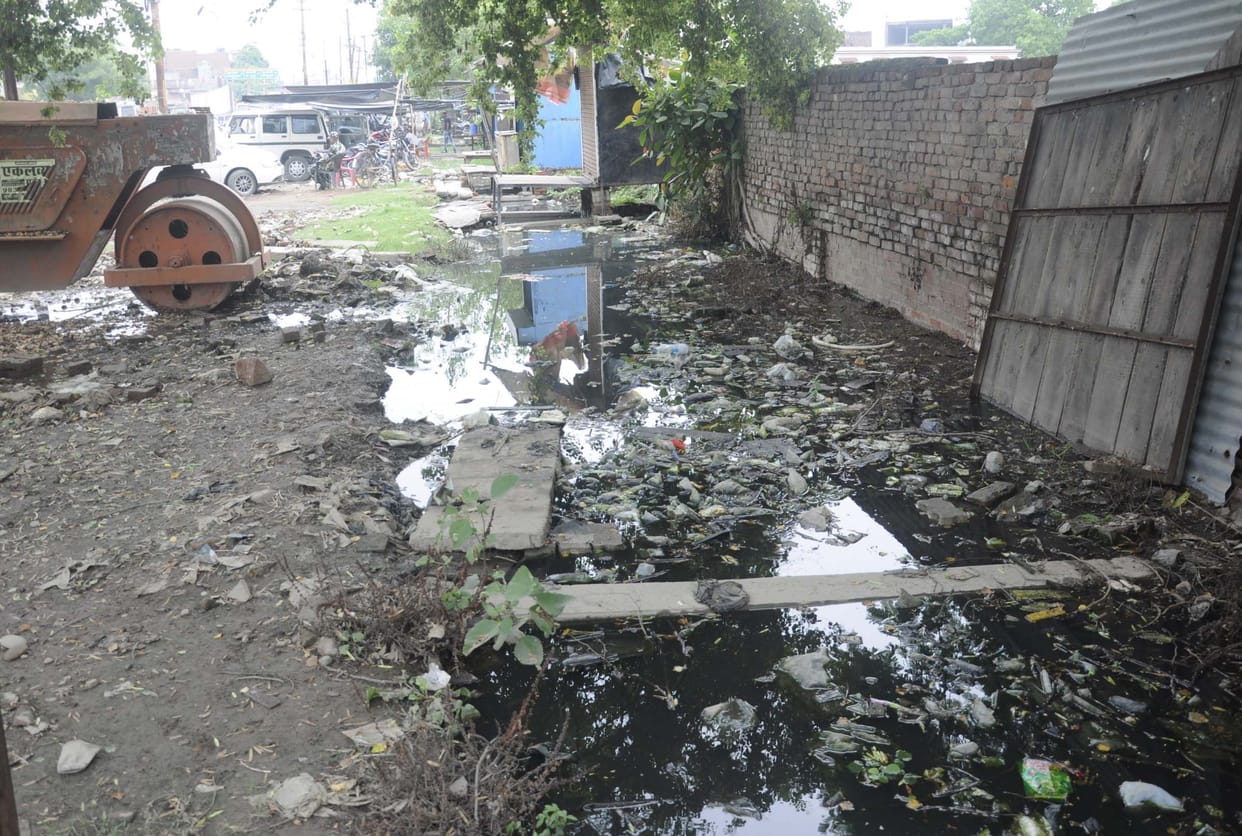 rain, garbage