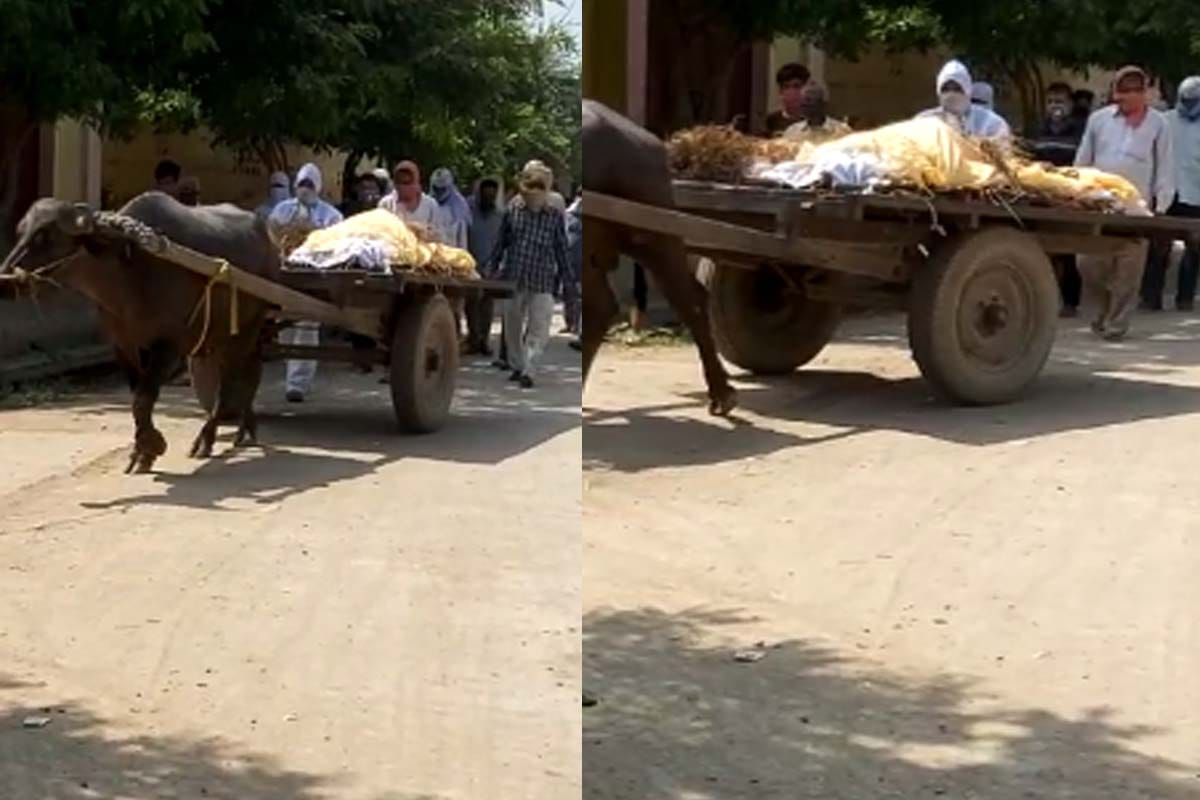 Coronavirus: Baghpat man died from fever, family took the dead bodyin a bulackcart