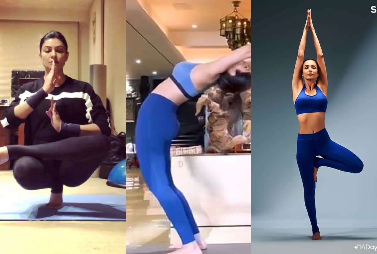 international yoga day see toughest yoga pose doing by bollywood actresses in pictures
