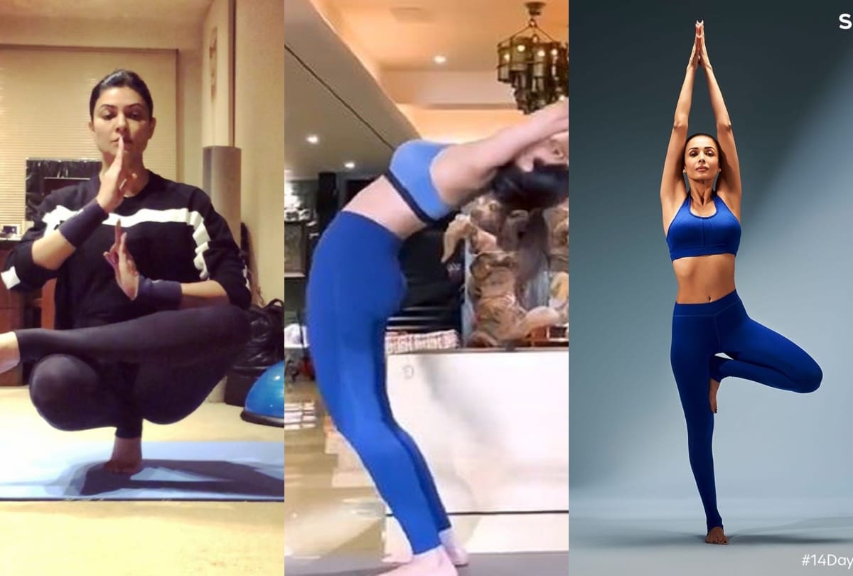 international yoga day see toughest yoga pose doing by bollywood actresses in pictures