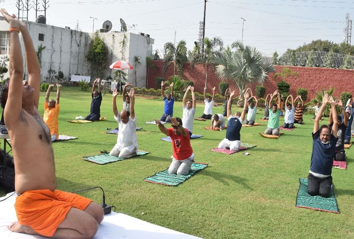 International Yoga Day 2020: amar ujala yoga camp in agra