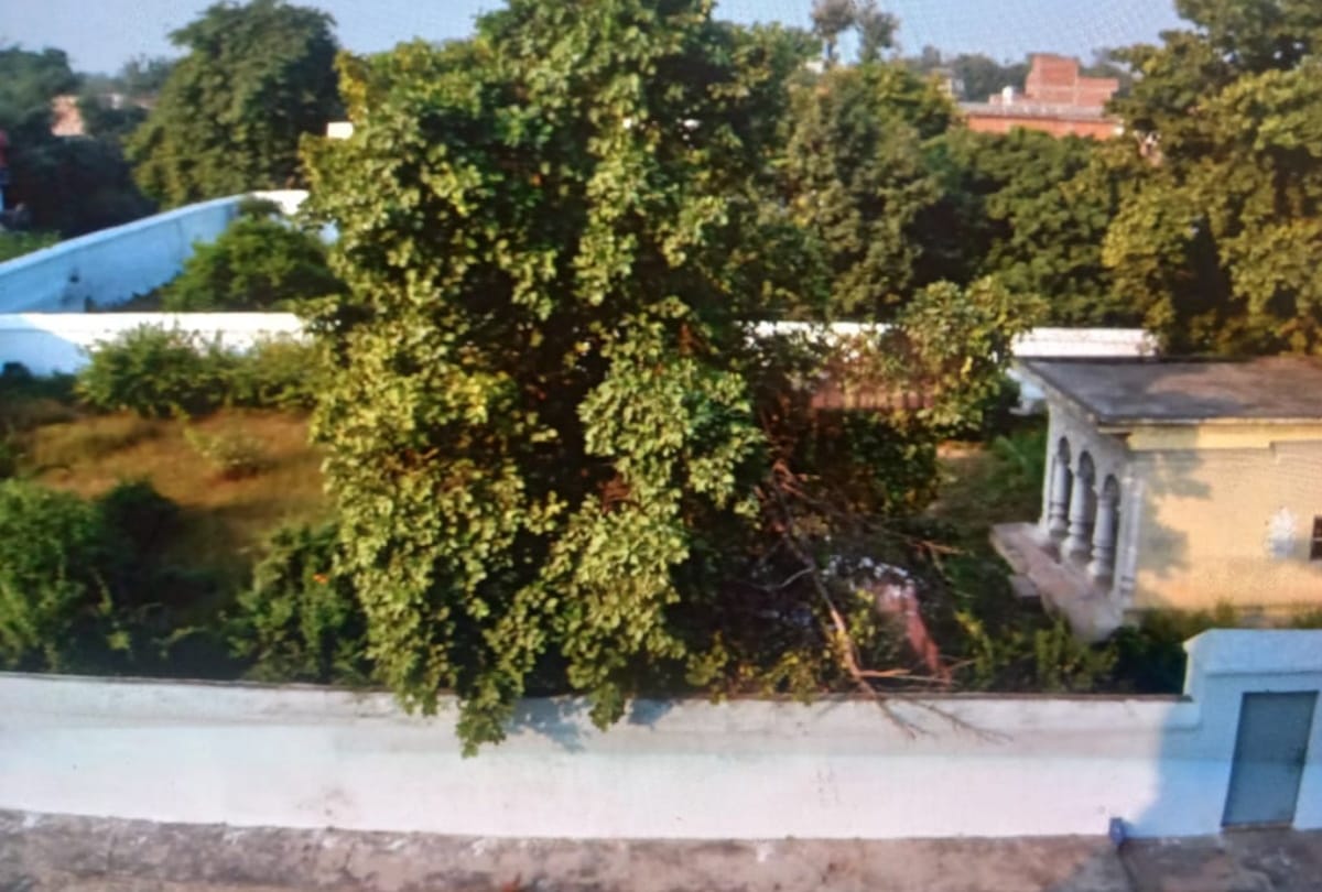 Special story of Mathura vrindaban copy in padrauna kushinagar