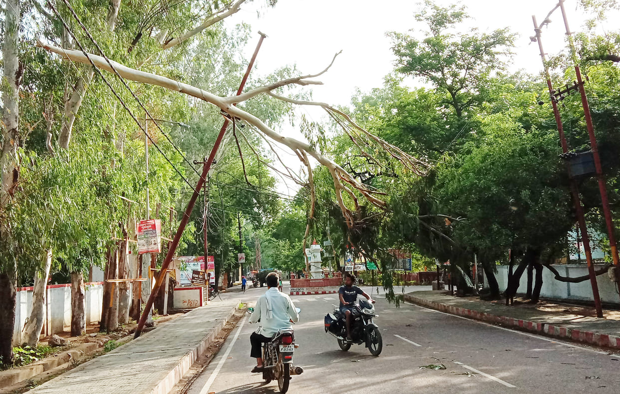 30 electric pole broken by storm , electri cut in 100 village for 17 hours