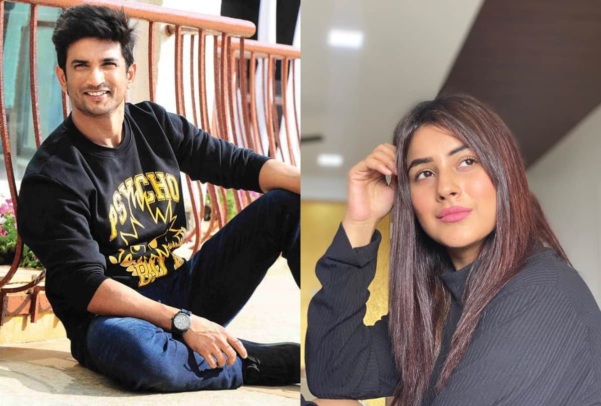 Sushant Singh Rajput death Shehnaaz Gill Gets emotinal During Insta Live Said artist life is hard
