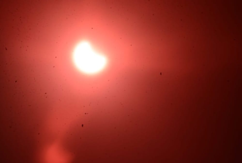 surya grahan 2021 December last solar eclipse of the year know more about eclipse timing sutak period zodiac sign