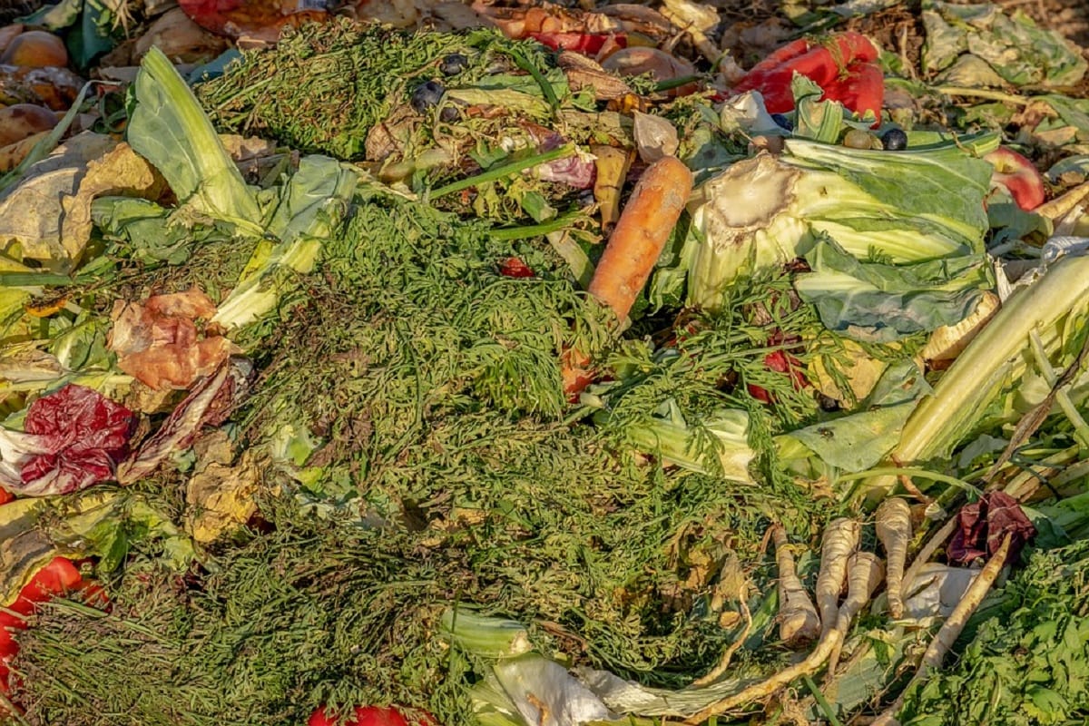 bio natural gas from vegetables waste produced by Surat APMG