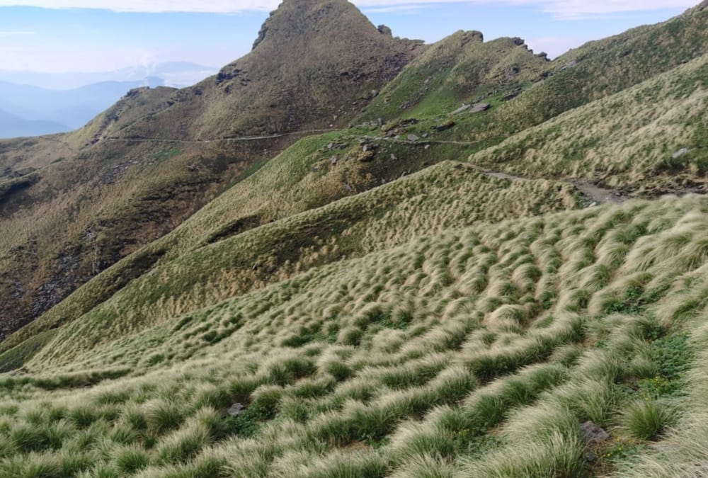 Rudranath Trek Declared Plastic Free Zone See Beautiful Visuals