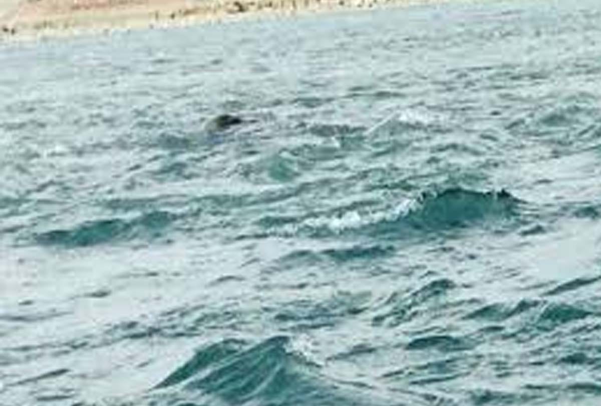 cloth merchant jumped into the Ganges due to financial constraints in kanpur