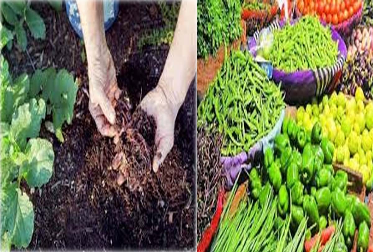 Earthworm manure increasing soil fertilizer capacity