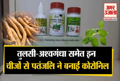 Patanjali is made of these things including coronil tulsi-ashwagandha