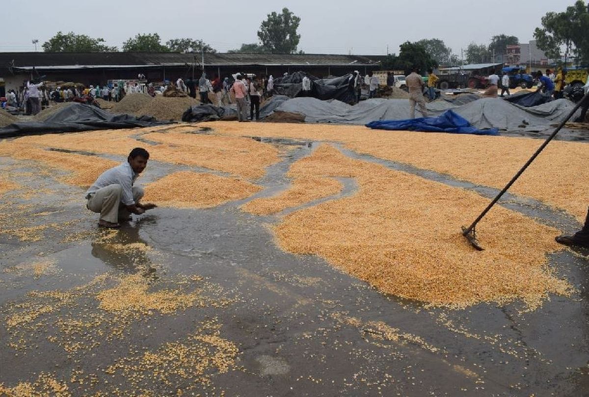 Monsoon Rain Hits Mainpuri In June Today