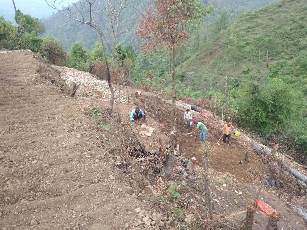 Farming in Champawat