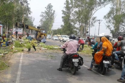 Meerut News: Cutting of trees for rapid rail pillars started