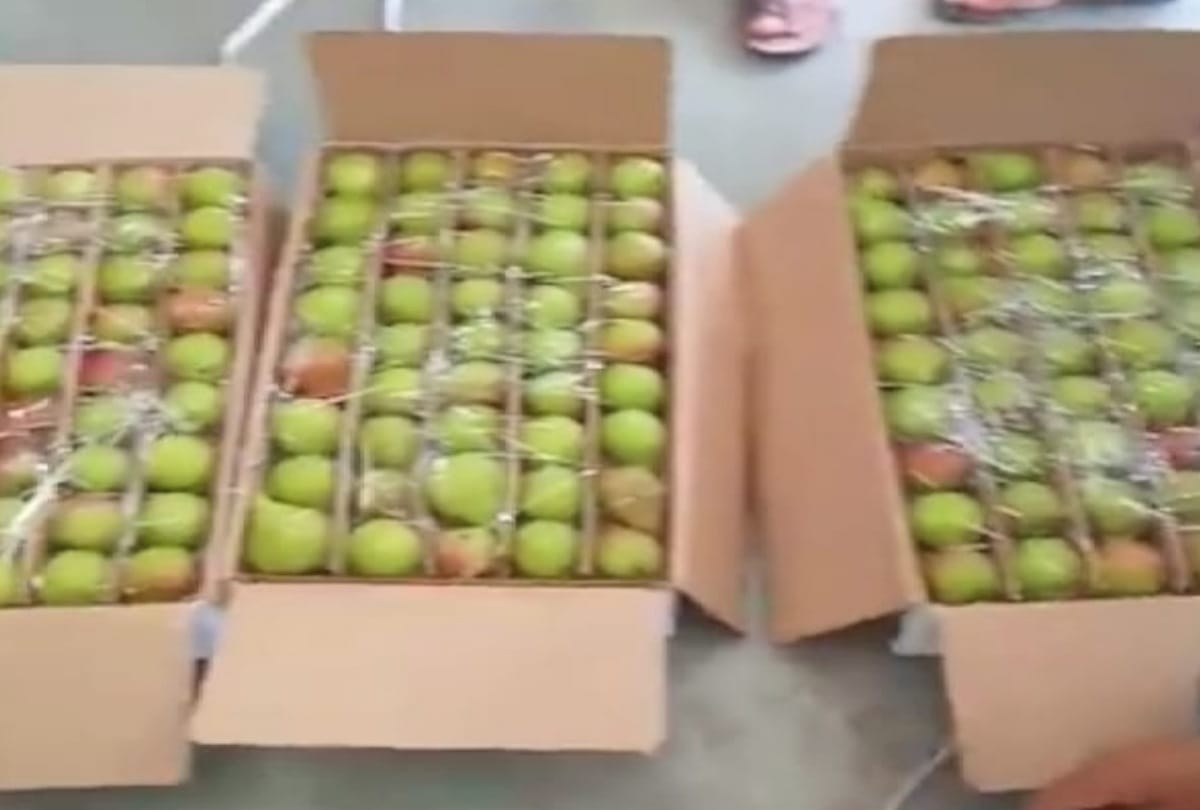 Pear Price three thousand rupee per box in Bhattakufer Fruit Mandi Shimla